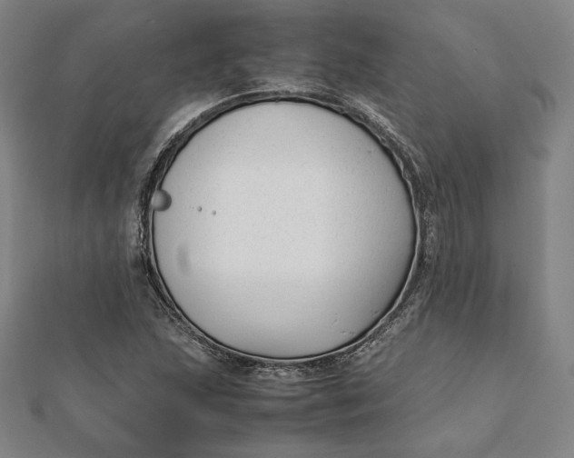 X0000112051215200908250951