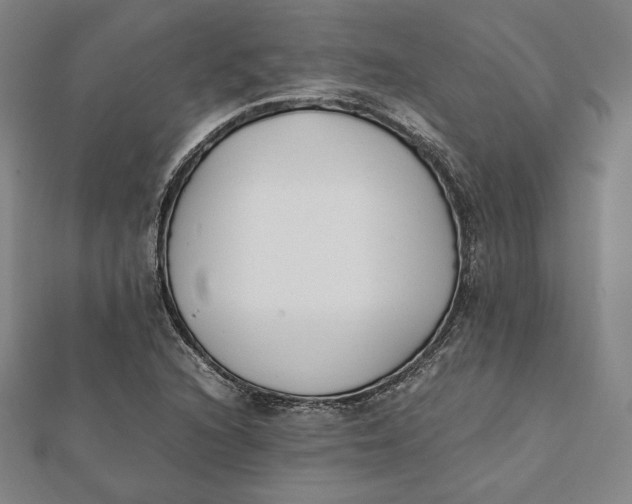 X0000112051216200908250951