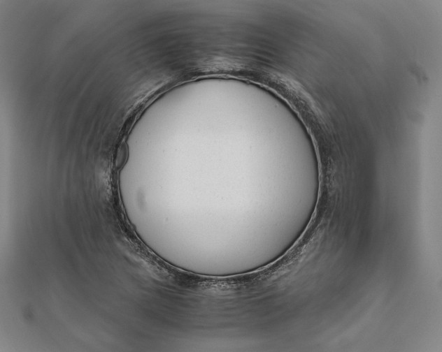 X0000112051217200908250951