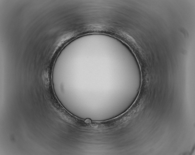 X0000112051218200908250951