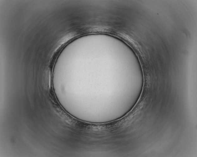 X0000112051219200908250951