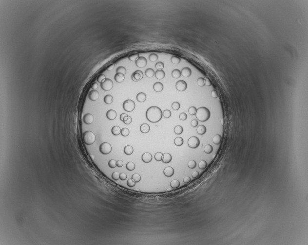 X0000112051220200908250951