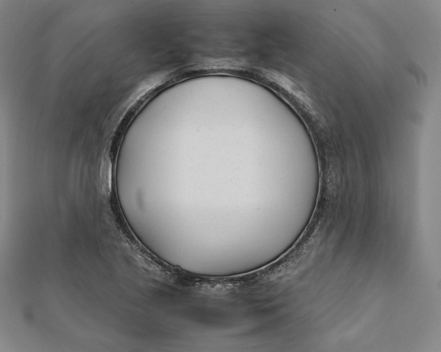 X0000112051221200908250951