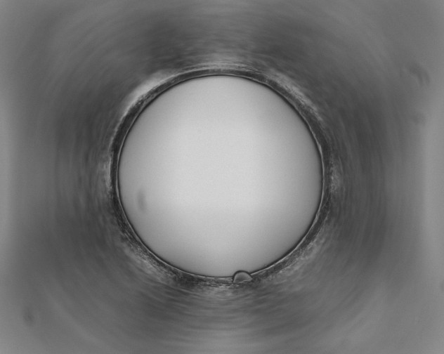 X0000112051222200908250951