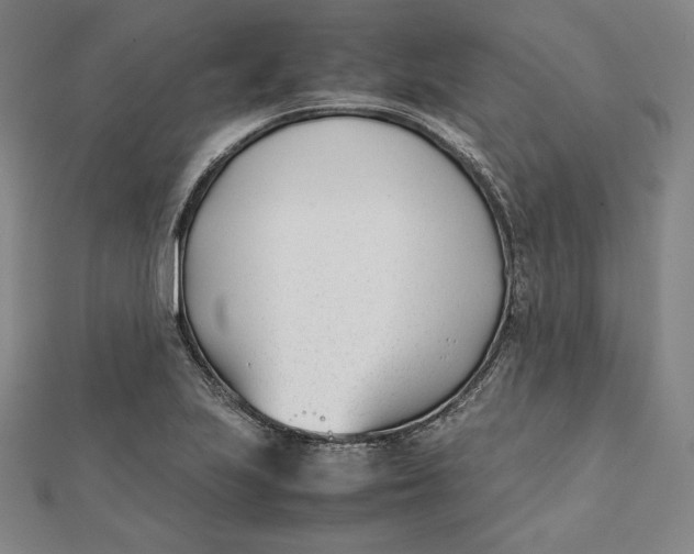 X0000112051223200908250951