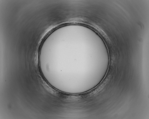 X0000112051224200908250951