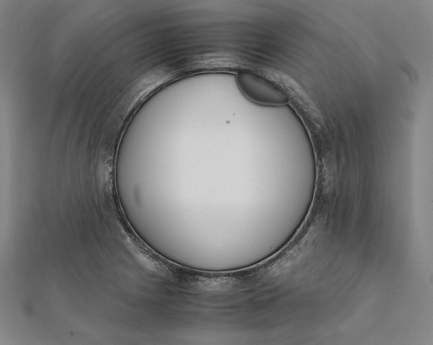 X0000112051225200908250951