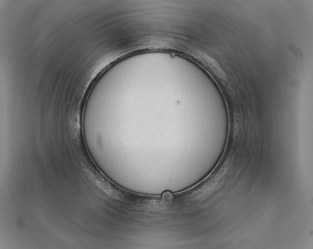 X0000112051226200908250951