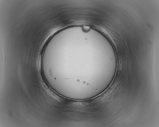 X0000112051227200908250951