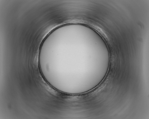 X0000112051228200908250951