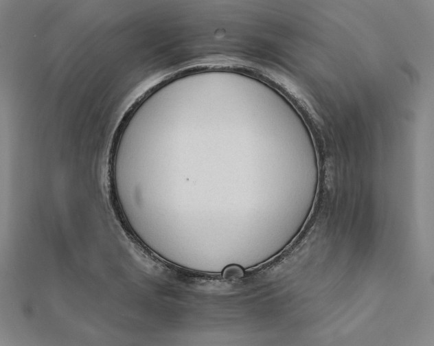 X0000112051229200908250951