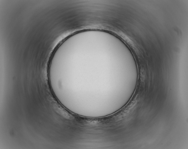 X0000112051230200908250951