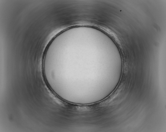 X0000112051231200908250951