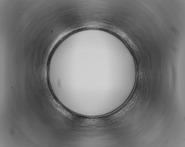 X0000112051232200908250951