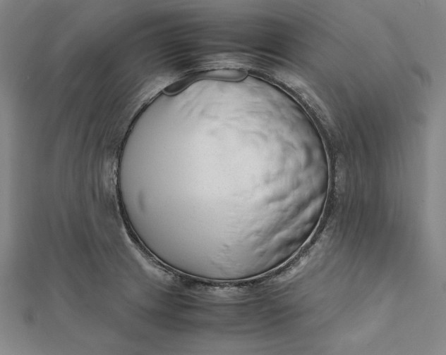 X0000112051233200908250951