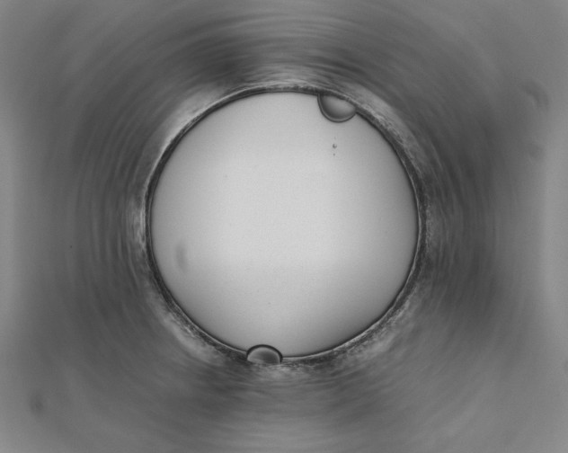 X0000112051234200908250951