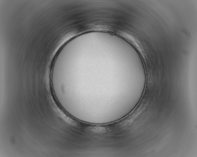 X0000112051235200908250951