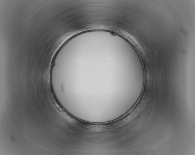 X0000112051236200908250951