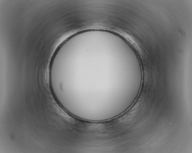 X0000112051238200908250951