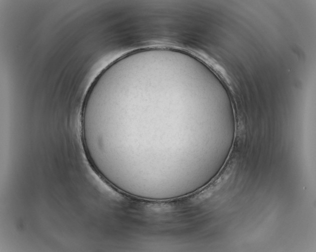 X0000112051239200908250951