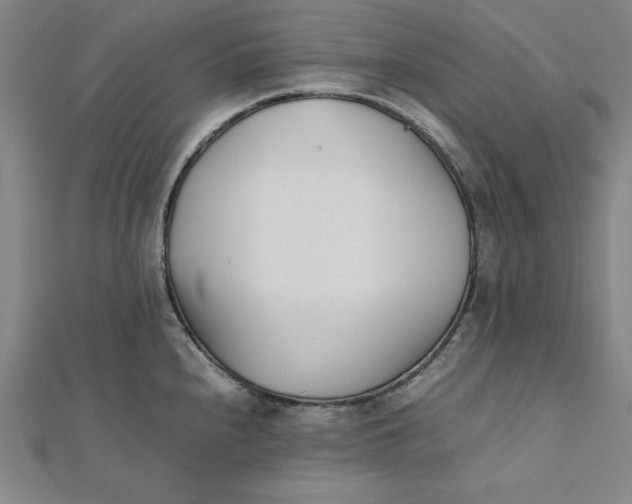 X0000112051240200908250951