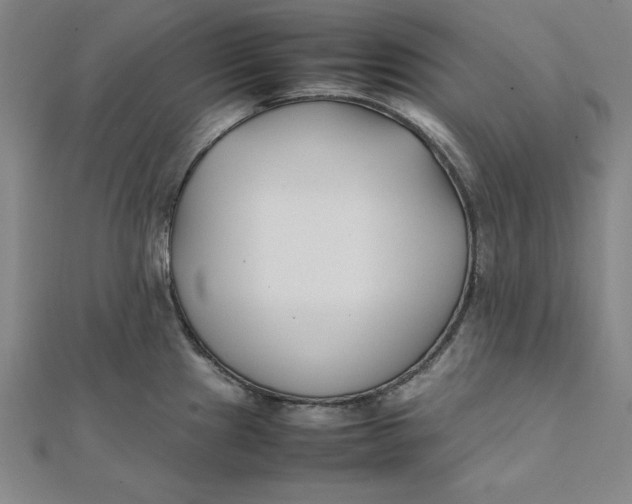 X0000112051241200908250951