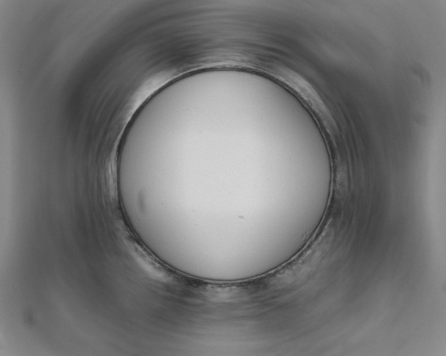 X0000112051242200908250951