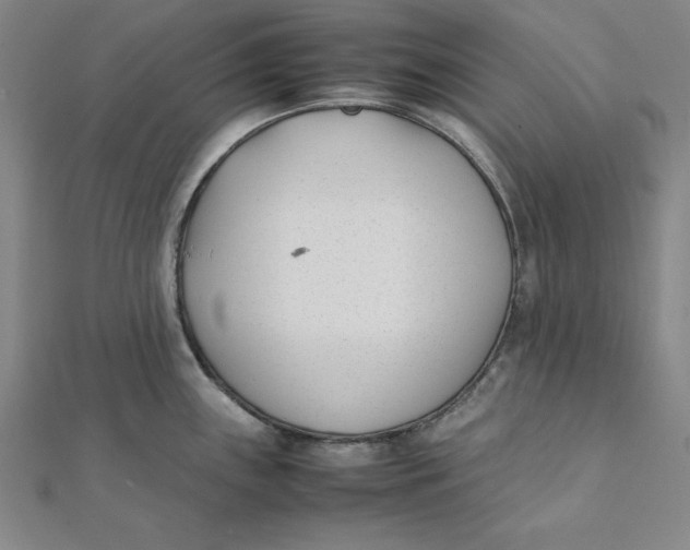 X0000112051243200908250951