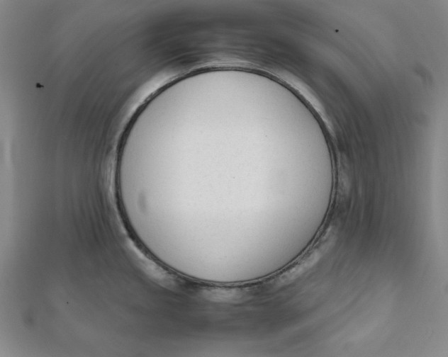 X0000112051245200908250951