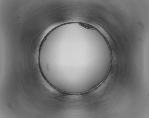 X0000112051246200908250951