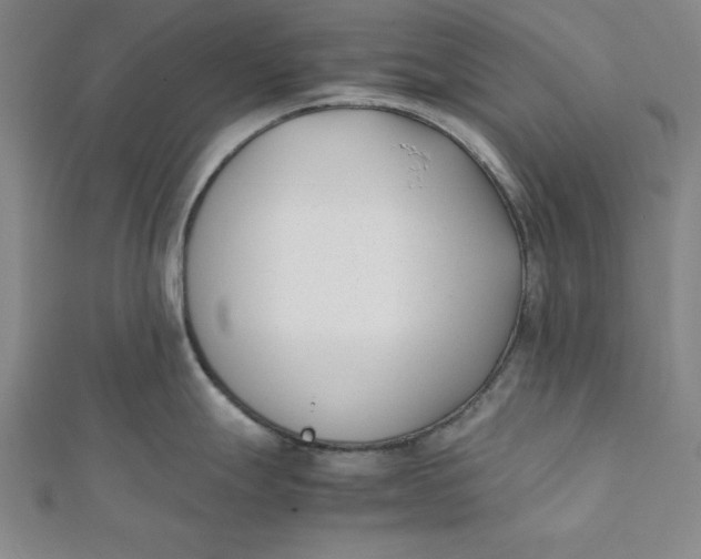 X0000112051247200908250951