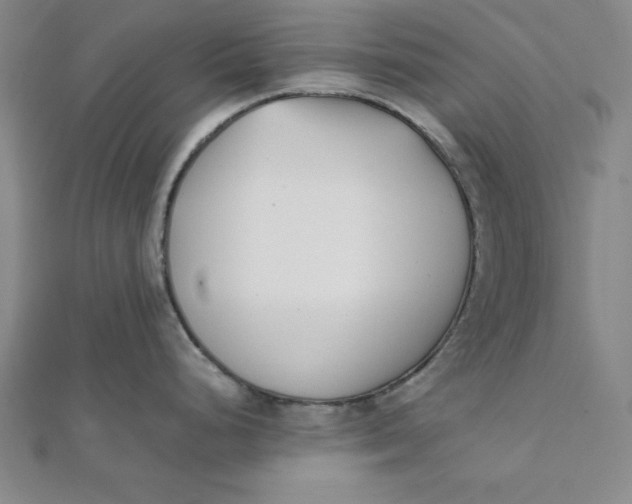 X0000112051248200908250951