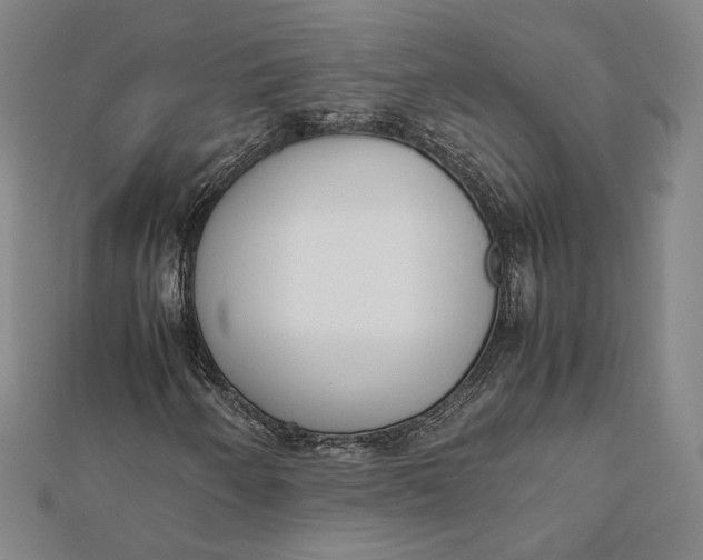 X0000112051250200908250951