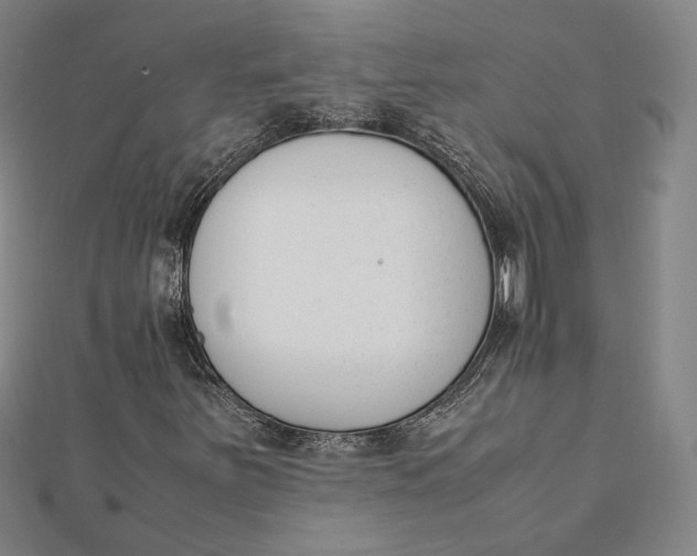 X0000112051251200908250951