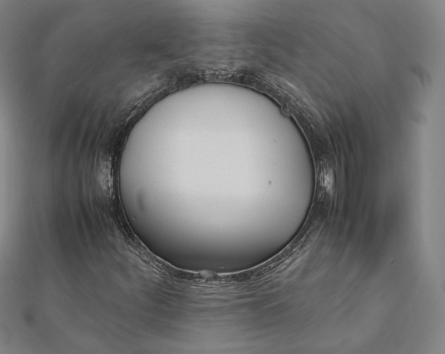 X0000112051252200908250951