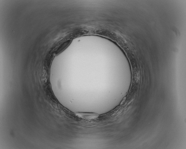 X0000112051253200908250951