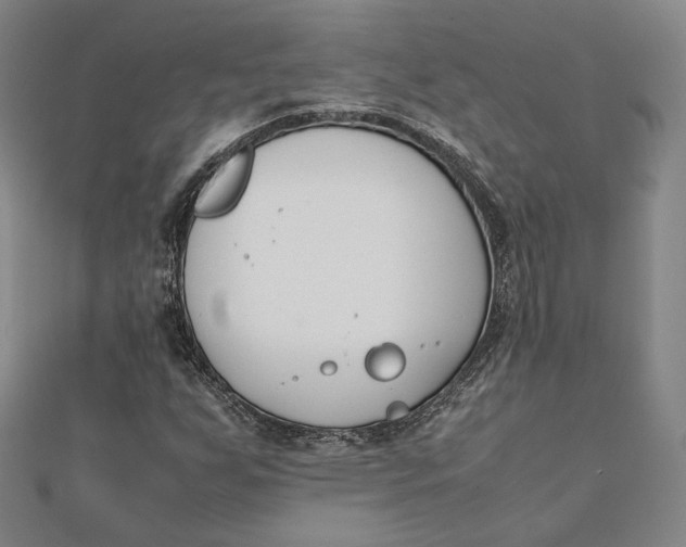 X0000112051255200908250951