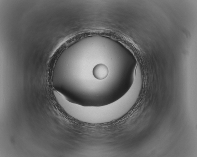 X0000112051256200908250951