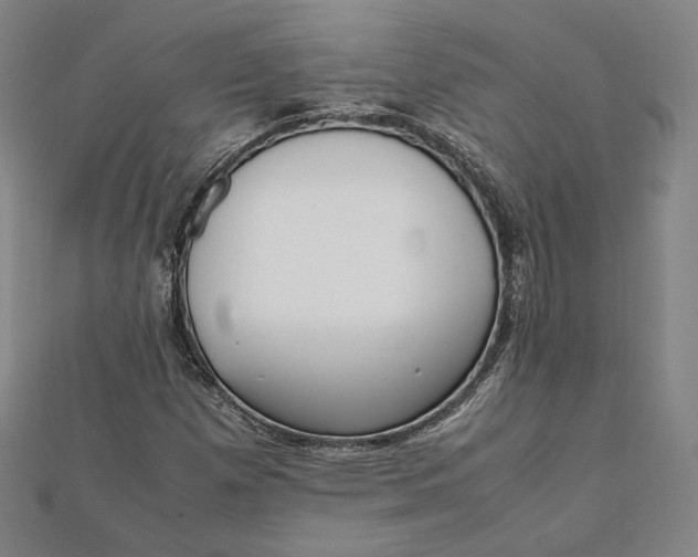 X0000112051257200908250951