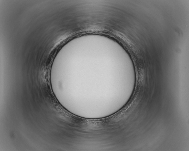 X0000112051258200908250951