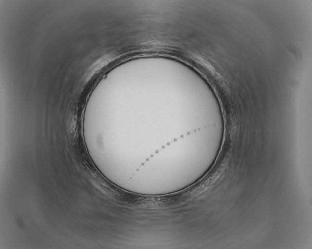 X0000112051259200908250950