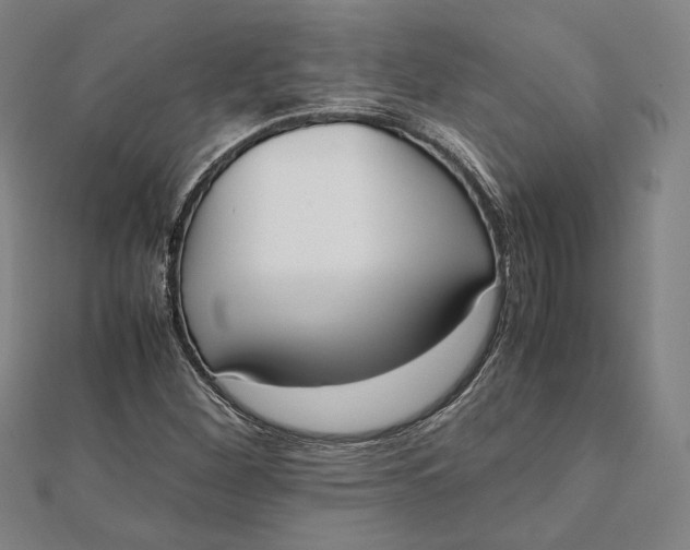 X0000112051260200908250950