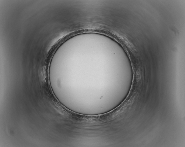 X0000112051262200908250950