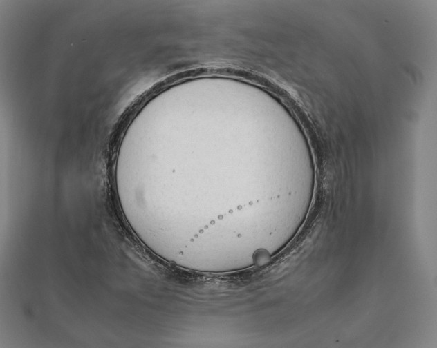 X0000112051263200908250950