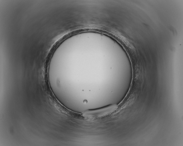 X0000112051264200908250950