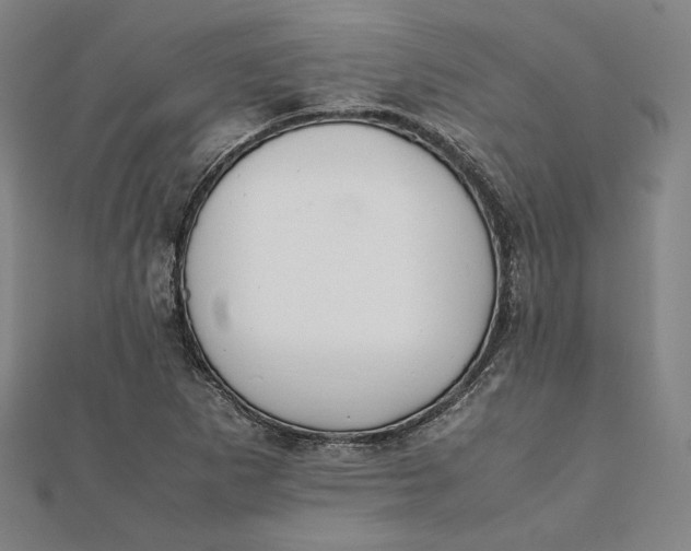 X0000112051265200908250950