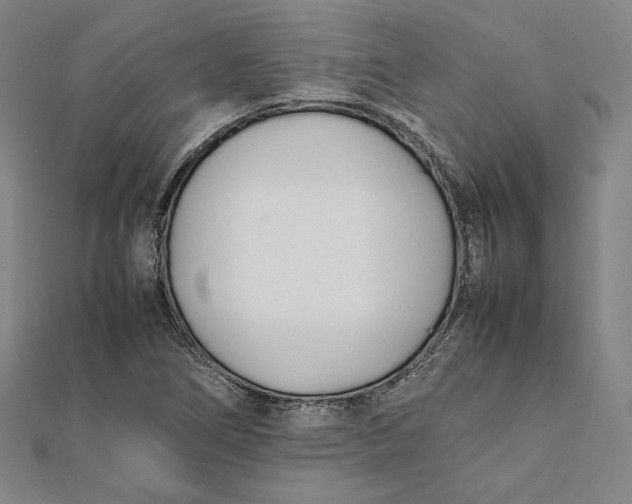 X0000112051266200908250950