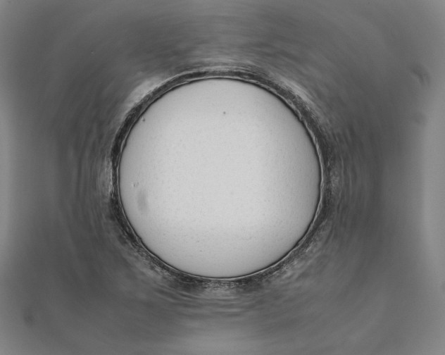 X0000112051267200908250950