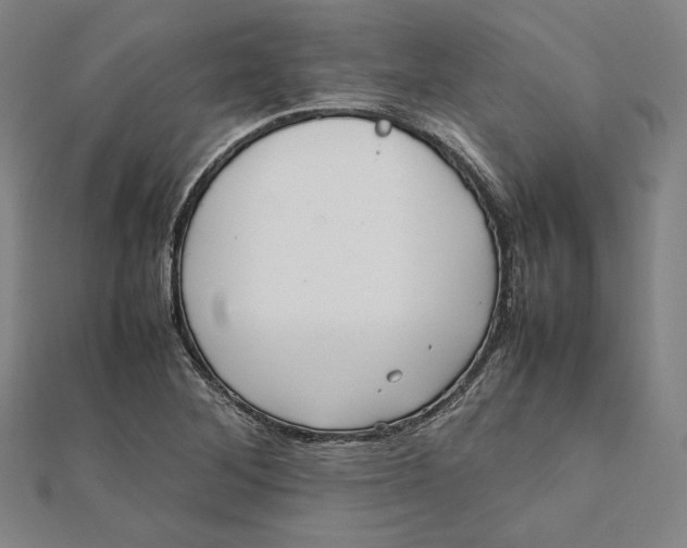 X0000112051268200908250950