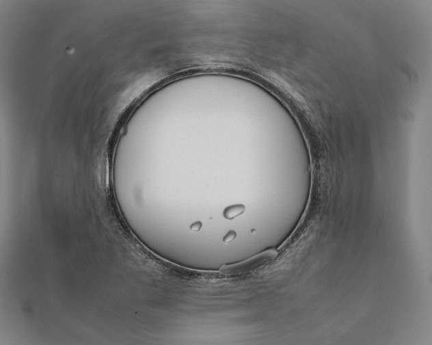 X0000112051269200908250950